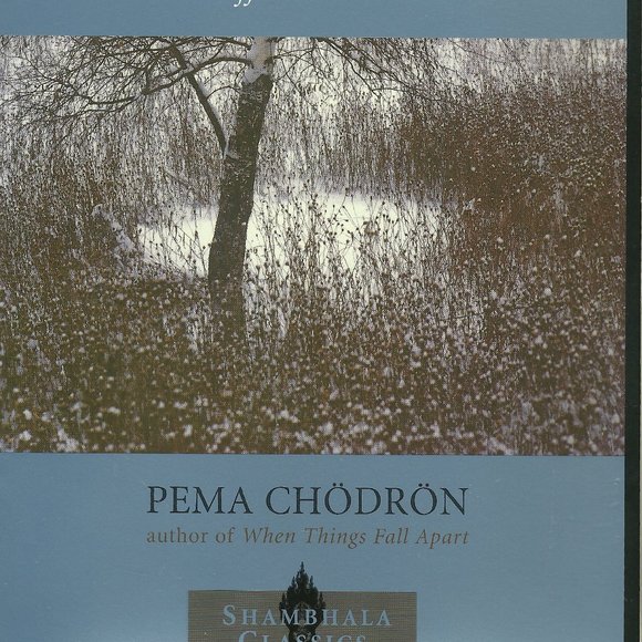 The Places that Scare You: A Guide to Fearlessness in Difficult Times - Chödrön - Picture 2 of 3